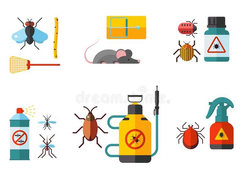 电影《宠爱》曝角色预告 小猫牵线檀健次阚清子终成眷属-panda sports(图1) panda sports