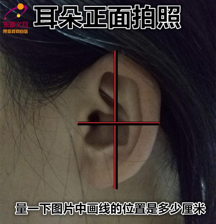 xiongmao体育|法桐种植的最佳季节(图2) xiongmao体育