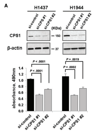 《惊蛰》收官 除了张若昀阚清子活到最后的竟然还有她:xiongmao体育(图3) xiongmao体育