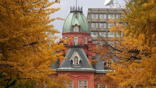 熊猫体育_周日内地票房粗报 《银河护卫队2》首周3天斩获3.14亿(图4) panda sports