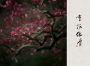 xiongmao体育-一线抗疫群英谱丨95后民警张锦星:方舱里的贴心守护(图2) 熊猫体育