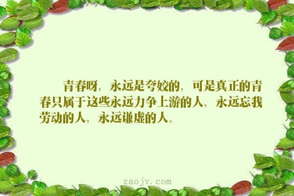 xiongmao体育