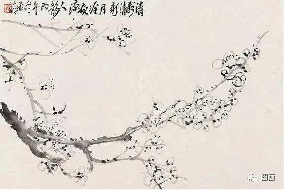 xiongmao体育